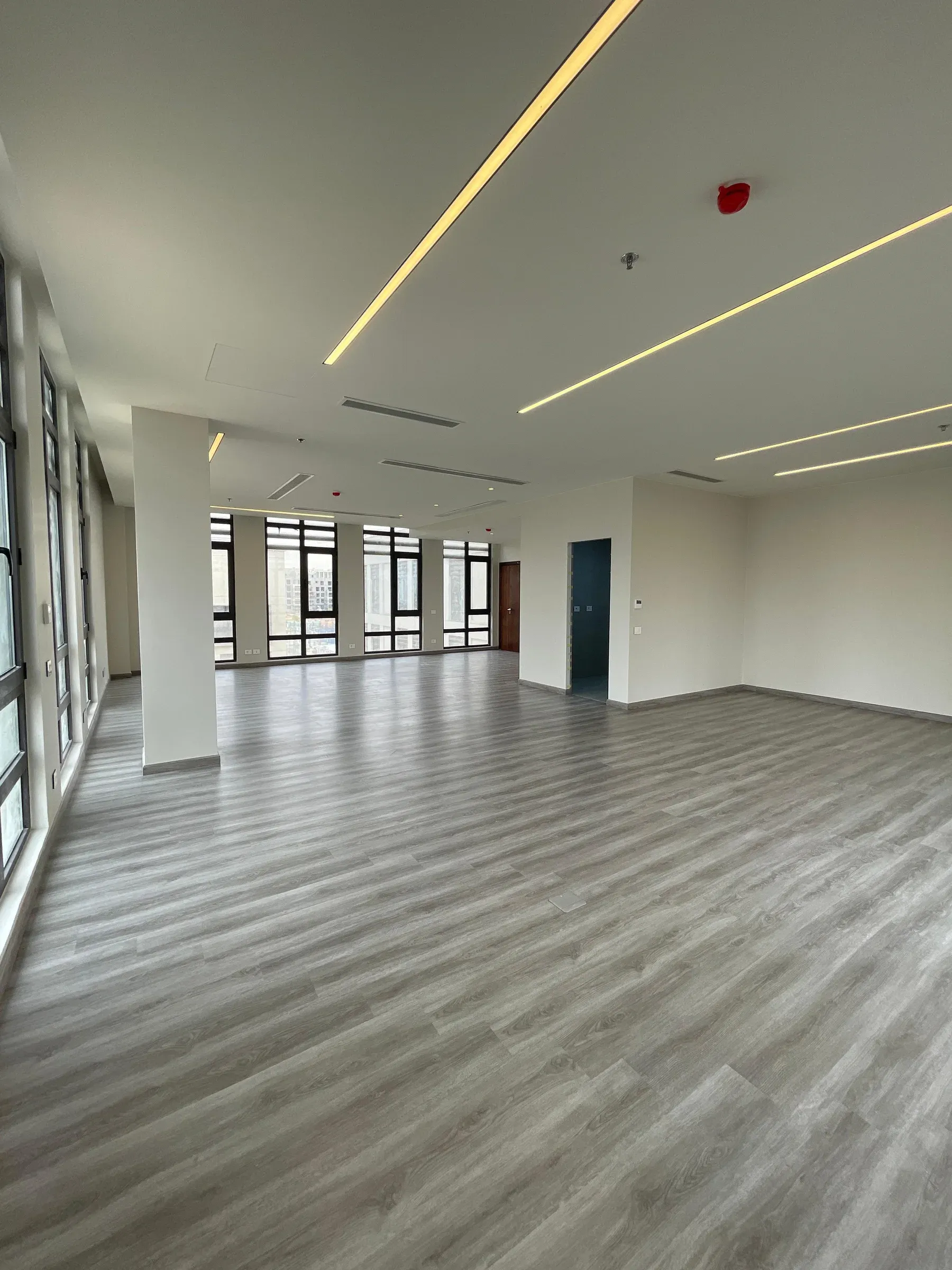 Narrow view along the glazed wall with angled ceiling light lines