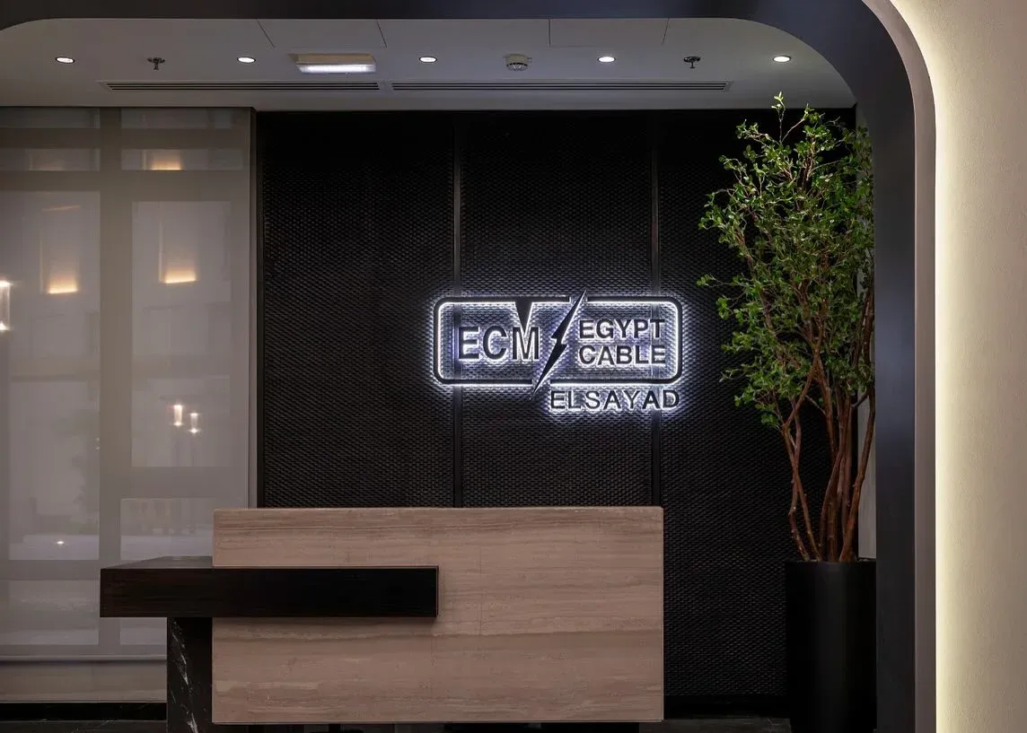 Reception wall with illuminated Egypt Cable sign and timber-fronted desk